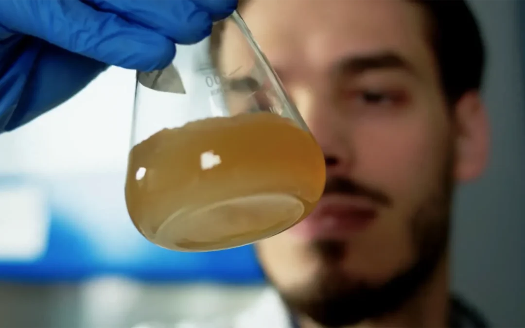 Internetowy spot reklamowy kampanii „Nasz Klimat” – BACTrem 30 sek.