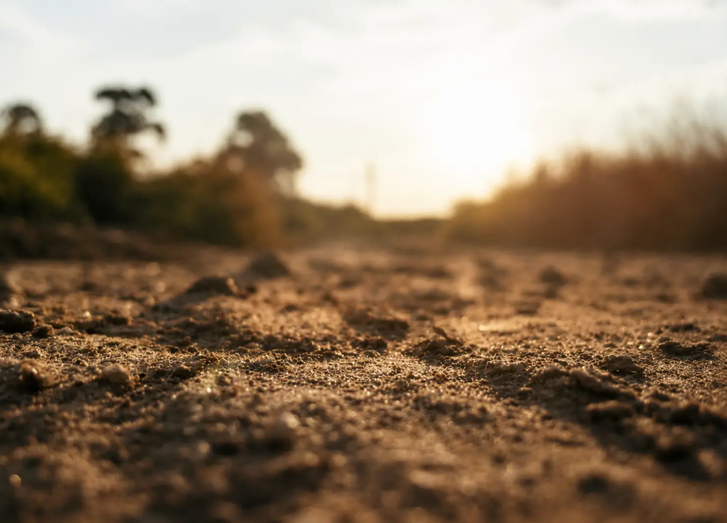 Bioremediacjain situ vs ex situ – kiedy wybrać którą metodę?